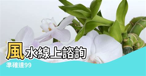 江柏樂收費|江柏樂風水好好玩